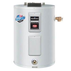 Bradford White® LE120L3-3NCWW-407 21896