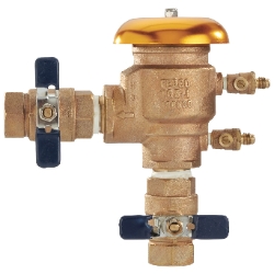 Febco® 765-1 130337