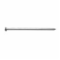 TPS 12D Common Nail