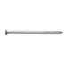 TPS 12D Common Nail 106080