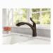 Delta® 4353-RB-DST 20437