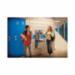 Elkay® LZSTL8WSSP 66691