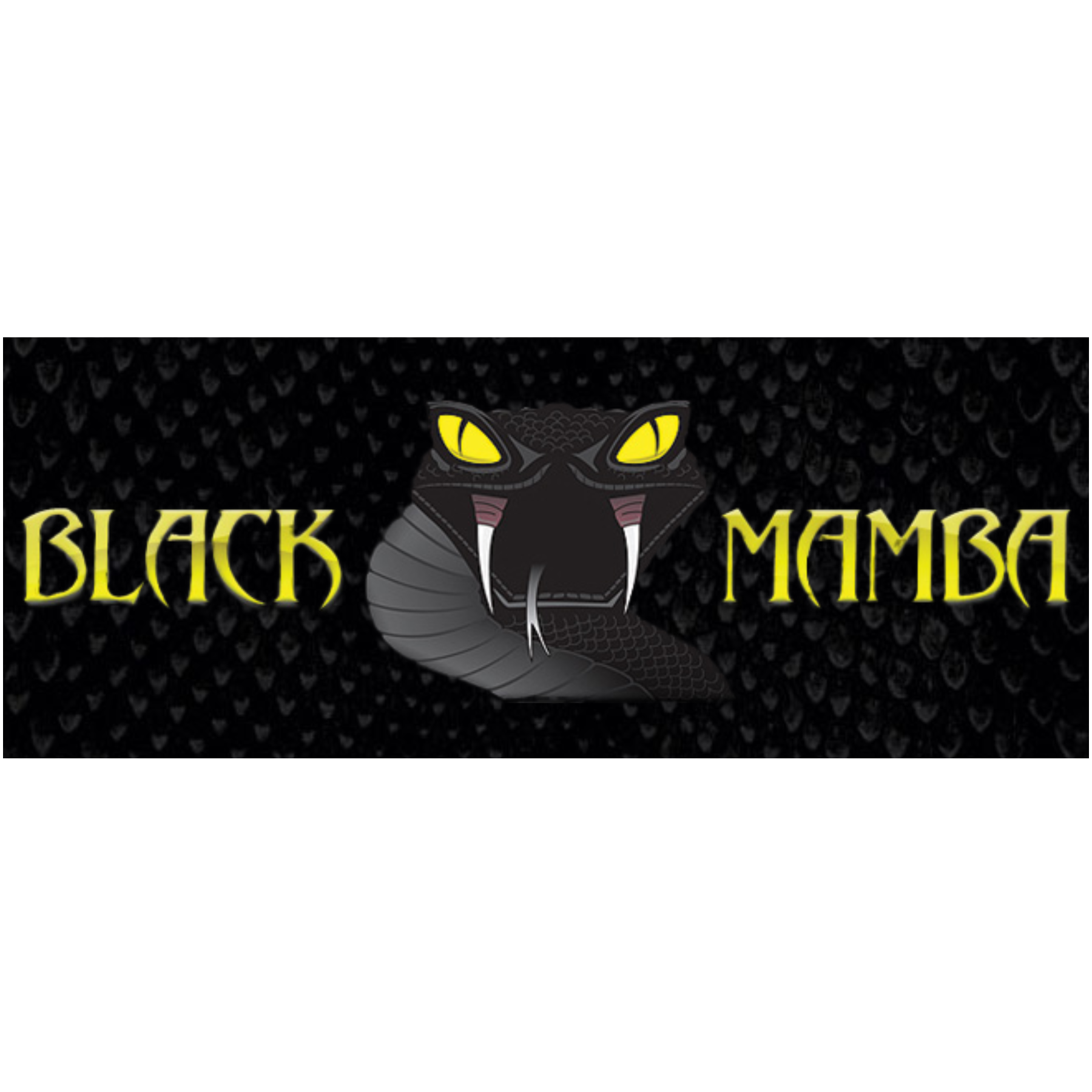 Mamba